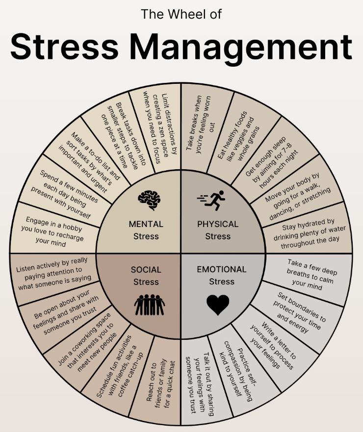 The Wheel of Stress Management