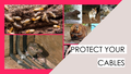 Cable Protection: Anti-Termite, Anti-Vermin and Anti-Rodent Solutions