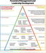 Pyramid of Management and Leadership Development