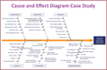 Cause and Effect Diagram: Case Study Analysis