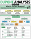 Understanding DuPont Analysis: A Breakdown of Return on Equity (ROE)