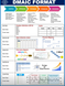 DMAIC Format: A Comprehensive Guide to Continuous Process Improvement