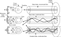 Single Mode vs. Multimode Fiber