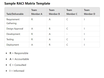 What is a RACI Matrix and Template?